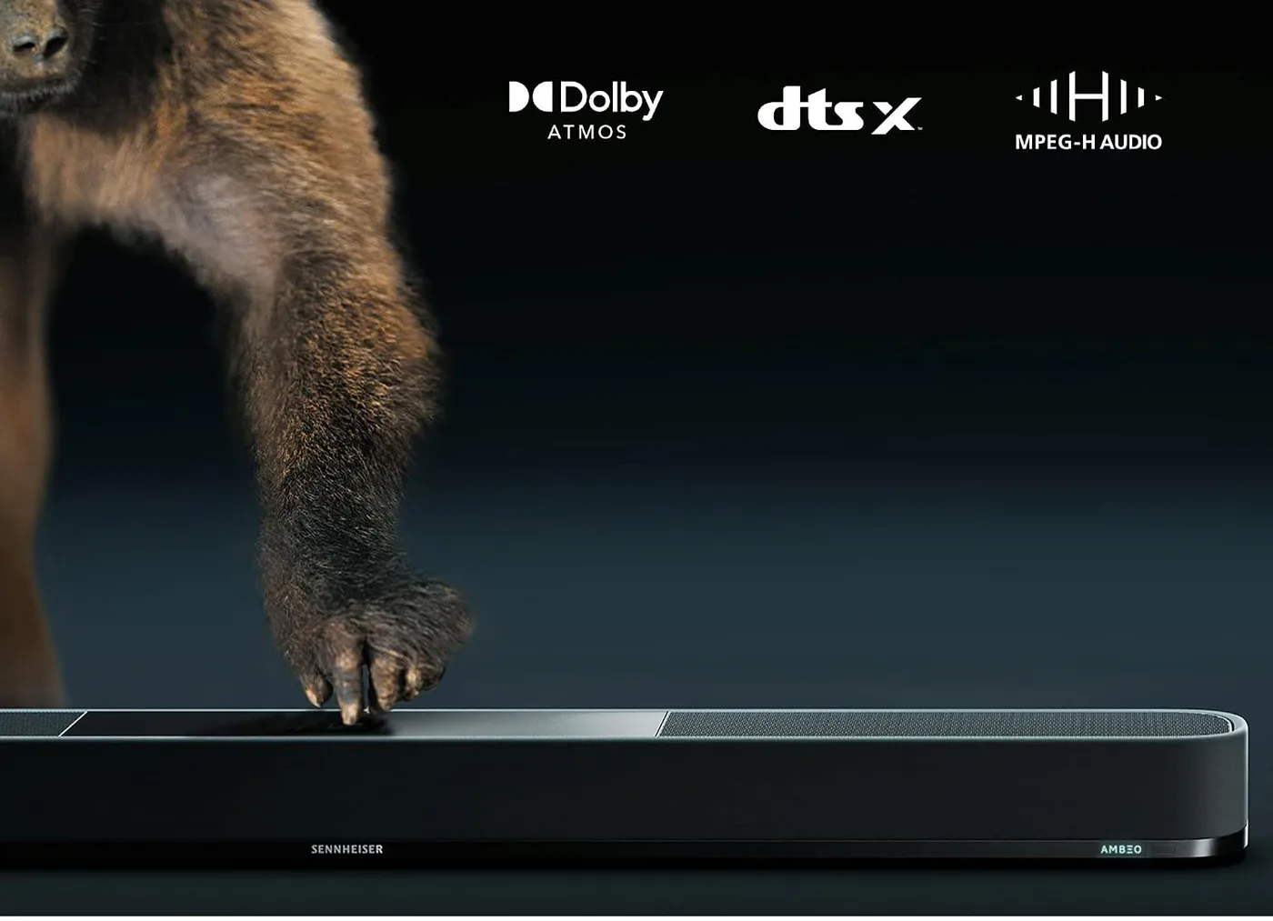 Dolby Atmos, DTS:X and MPEG-H Audio logos above the AMBEO Soundbar Plus