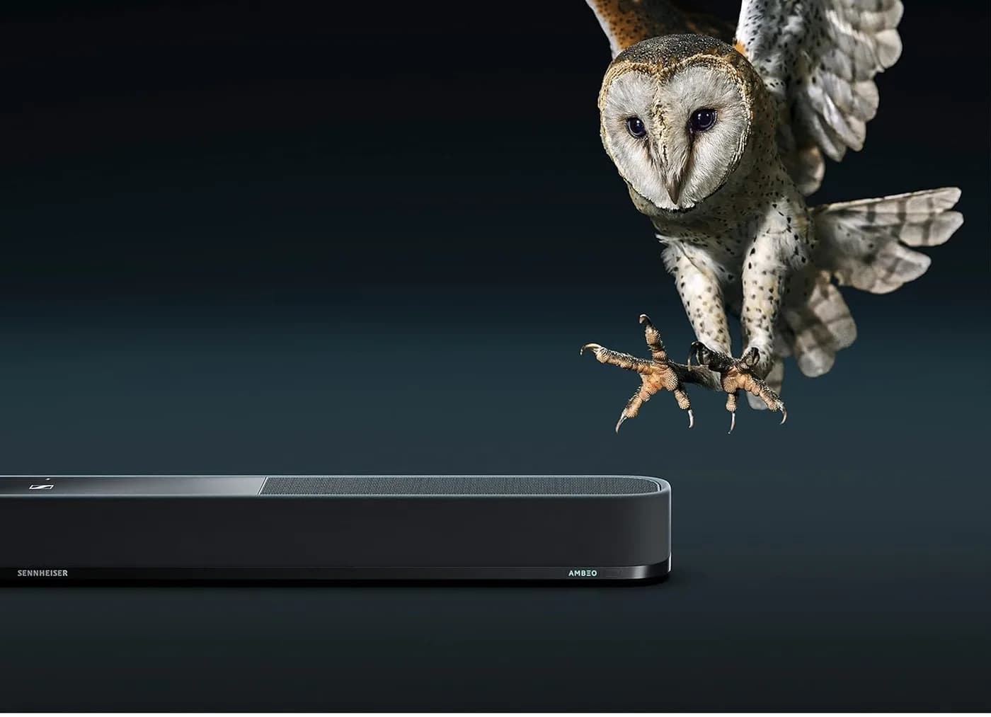 A barn owl in flight above the AMBEO Soundbar Plus, illustrating overhead sound